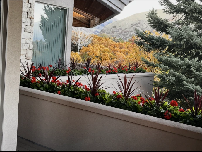 Potted Flowers