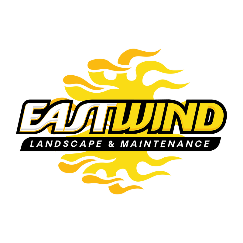 My Website
